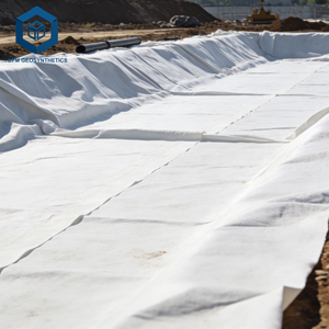 Tissu filtrant géotextile en PP Bidim NT2500 non tissé pour drainage routier en Tanzanie - Product Image 2