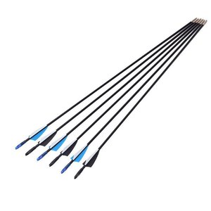 Flèches en fibre de verre 6 mm, lot de 12 pièces pour la pratique du tir à l'arc recurve - Product Image 3