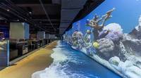 Panel de Video Flexible LED Space Time Tunnel P2.5 con HDR10+ a Todo Color 1080P para Publicidad Inmersiva en Interiores