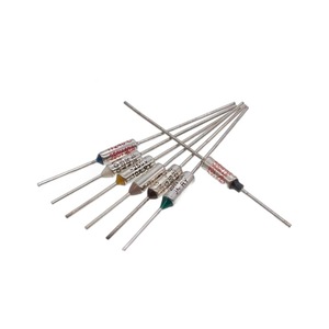 Fusible à cartouche 6,5 cm 10A 250V pour cuiseur à riz électrique - Product Image 2