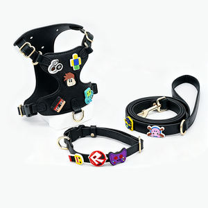 カスタマイズされたエレガントで豪華なソフトレザーDLY犬用ハーネスPVCかわいいバックルとリーシュセット高級ペットチェストアクセサリー - Product Image 3