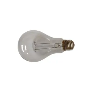 A55 Light Clear Glass 40W 220-240V Edison Incandescent Bulb Passed Ce RoHS