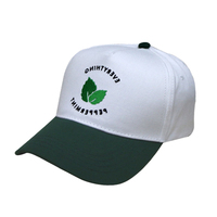 Casquette de baseball en coton personnalisée unisexe à 5 panneaux Casquette de sport vintage avec logo brodé et couleur contrastée Cool Gorras Design