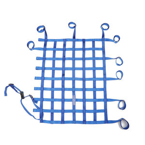 차 주문 로고 차양 안전 빨간 파란 나일론 경주용 차 Sfi 승인되는 창 그물 - Product Image 1