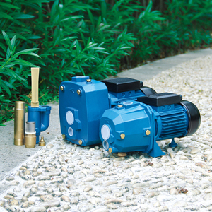 <span class=keywords><strong>Dp</strong></span> 1500W Mini sâu máy bay phản lực 100 bán áp lực cao tự mồi tưới tiêu nông nghiệp trang trại động cơ máy bơm nước - Product Image 6