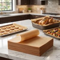 Feuilles de papier sulfurisé en vrac, pack économique, antiadhésives, résistantes à la chaleur, pré-découpées pour fours de cuisine et biscuits
