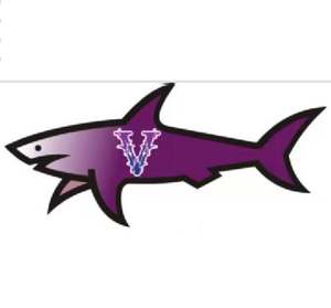 Pegatinas Paul Et Shark Nuevas y Populares, Blnieece, PVC UV, Materiales Decorativos Impermeables para Teléfonos Móviles, Venta al por Mayor de Fábrica - Product Image 5