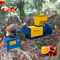Mini Palmolie Verwerkingsmachine Kleine Capaciteit Palmolie Persmachine 3tph Palmolie Persmachine