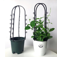 Étagère de jardin pour fruits et légumes, arc d'escalade, en métal, treillis de fleurs, facile à vendre, produits de jardinage