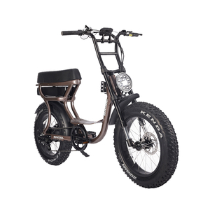 El más nuevo modelo femenino de gama alta ciudad ebike vintage 73 ebike eléctrico híbrido dual 750W 1000W motor Super bicicleta - Product Image 4