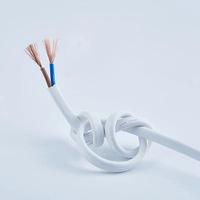 Hitzebeständiges BVVB Massivkupfer-Flachkabel Anti-Riss-PVC-Kabel für Bau, Fabrik, Werkstatt IP67-Zertifiziert Niederspannung