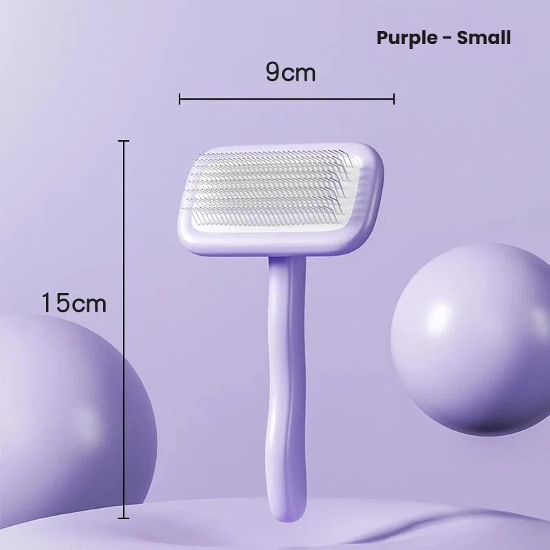 Violet de petite taille en forme de carré