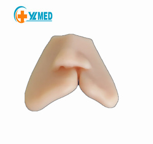 Modelo médico de cierre de labio leporino y paladar hendido, módulo de práctica de sutura de labio leporino de silicona, modelo de Cirugía de entrenamiento de reparación - Product Image 1