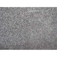 Carreaux de sol et de mur en pierre extérieure écologique moderne en granit gris de Chine G623 pour jardin