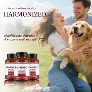 Probiotica 60 Miljard CFU 10 Stammen Capsules - Dagelijkse Ondersteuning van de Spijsvertering & Immuunsysteem Voedingssupplement OEM/ODM Probiotisch Supplement - Product Image 5