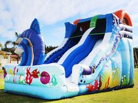 Toboggan d'eau sèche de poisson de marlin gonflable d'océan Offre Spéciale toboggan d'eau gonflable de dauphin avec piscine