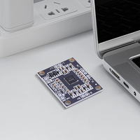 2x carte d'amplificateur de puissance numérique stéréo à double canal de classe D de 15W PAM8610