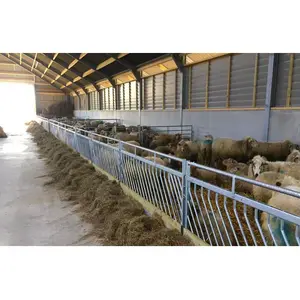 Fast construction low cost prefab light steel structure cattle cow goat sheep pig house shed for sale