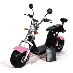 Almacén de Holanda 2019 más nuevo citycoco eléctrico scooter de coco 1000W 1500W 2 ruedas grandes