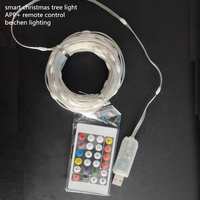 USB-aangedreven RGB slimme kerstboomverlichting waterdicht 5M 10M 15M LED lichtbron telefoonbediening met muziek & steminductie