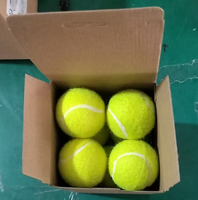 Balle interactive pour chien avec fonction tennis, outil d'entraînement en extérieur