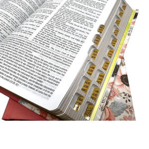 King James <span class=keywords><strong>Bible</strong></span> de poche avec <span class=keywords><strong>Bible</strong></span> en cuir <span class=keywords><strong>Louis</strong></span> Second En français avec impression Sainte <span class=keywords><strong>Bible</strong></span> - Product Image 3
