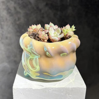 Pot de fleurs pour plantes succulentes, respirant, résistant à la corrosion, modulaire, minimaliste, effet illusion, couleur éblouissante, céramique électro-plaquée