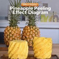 Am Qdmech Fruit Snel Schillen Ananas Schilmachine Handbediende Ananas Dunschiller Commerciële Ananas Peeling Tool