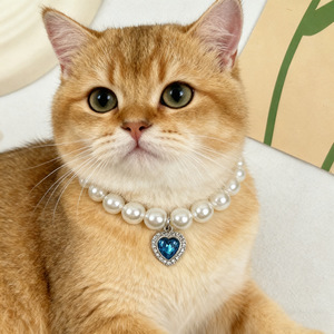 Kalp Şeklinde Prenses Tarzı Taklit İnci Evcil Hayvan Tasması (Kedi ve Köpekler İçin) Her Mevsim Kullanılabilir - Product Image 1