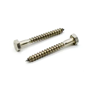 M6 Din571 300Mm Ss Stainless Steel Coach Screw Self Tapping Hexagon Flat Hex Head Wood Screws
