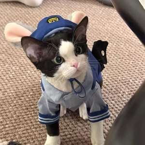 प्यारा पॉलिएस्टर पालतू भूमिका निभाते हैं बिल्लियों और कुत्तों के लिए बनी अधिकारी जूडी की पोशाक - Product Image 6