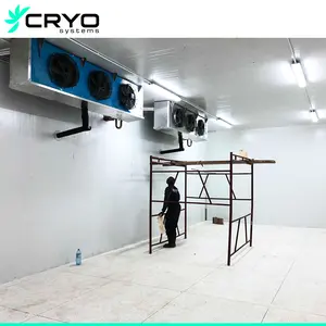 Cold Room For Chicken Meats Room Cold Meat Chiller Room Chicken Carcass