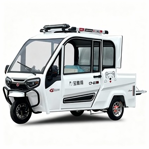 <span class=keywords><strong>Triciclo</strong></span> Eléctrico >800W Totalmente Cerrado para Carga y Pasajeros, Movilidad para Personas Mayores, Estándar Nacional - Product Image 5