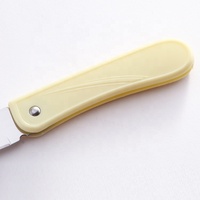 Petit couteau pliant à éplucher en acier inoxydable bon marché