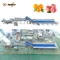 Duurzame Apple Roller Reinigingsmachines Fruit- en Groente Desinfectie Reinigingsmachine Mango's Was- en Sorteerlijnen