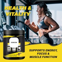 Bubuk Pre Workout Energi dan Fokus Kemasan Besar Untuk Pria Nutrisi Olahraga Grosir Formula Vegan Pilihan Bebas Gula Campuran