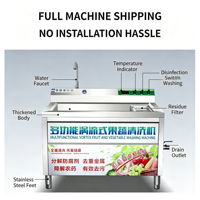 Commerciële Turbo Groentewasmachine met Ozon Sterilisatie Belletjesreiniging voor Hotel, Kantine, Fruit, Vlees, Zeevruchten
