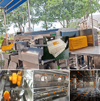 Machine de lavage automatique de caisses en plastique, laveuse industrielle de cages à poulets avec eau chaude pour le nettoyage des caisses d'élevage avicole