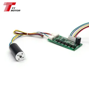 Bldc Motor 24Volt 12Volt Kleine Motor 16Mm 1636 Hoge Rpm Custom Driver Encoder Borstelloze Motor