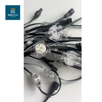 Guirlandes lumineuses LED de Noël d'extérieur RGBW WS2811 2904IP68, étanches, en matériau PC, garantie 5 ans
