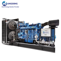 Groupe électrogène au gaz naturel triphasé 500 kW, générateur à double fréquence 625 kVA 50/60 Hz, moteur YC6C935N-D30 pour banque et hôpital