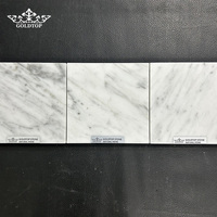 Dalles de marbre Dolomite blanc Carrara GOLDTOP modernes avec surface polie pour les projets hôteliers Mark, salles de bain et plans de toilette