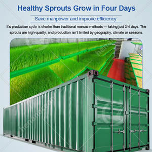 Máquina Automática Industrial OCEAN para Germinar Brote de Frijol Mung, Máquina Hidropónica para Germinar Cacahuetes - Product Image 3