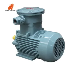 Top Quality Electric Motor 50/60Hz 1.5Kw Electric Induction Motor Three-phase Explosion-proof Asynchronous Motor Price