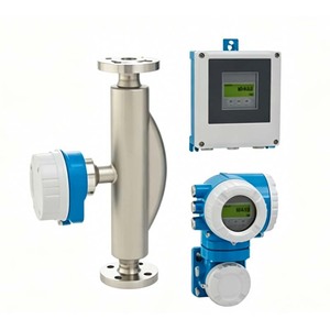 โซลูชันการวัดการไหลของก๊าซอุตสาหกรรม Endress+Hauser T-Mass T150 6TAB เครื่องวัดการไหลแบบมวลความร้อนอุตสาหกรรม E+H 6TAB - Product Image 6
