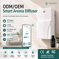 Diffuseur d'arômes professionnel pour usine, nouvelle tendance, brume fraîche, grande capacité, sans eau, électrique, pour huiles parfumées