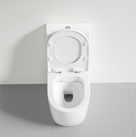 WC en céramique à poser au sol avec abattant à fermeture douce, double chasse, chasse Tornado monotrou, installation S/P Trap
