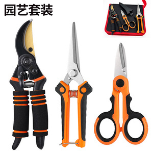 Pinheng Garden Shears Stainless Steel Bypass <b>Pruner</b> 20-30 Mm For Pruning Branches Orange Manual Operation - Product Image 1