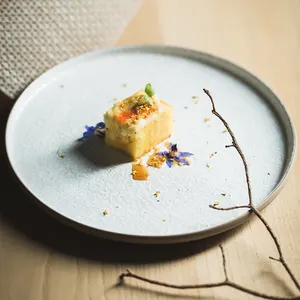 Assiettes en céramique de Dessert de Sushi peintes à la main de couleur de Sublimation japonaise de haute qualité pour le Restaurant