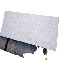 G359 G603 Nouvelles dalles de sol en granit blanc neige de 20 mm d'épaisseur, design moderne, couleur blanc naturel, prix compétitif